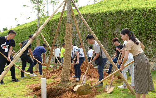 十年树木，百年树人——2017届毕业生种植纪念树活动圆满举行