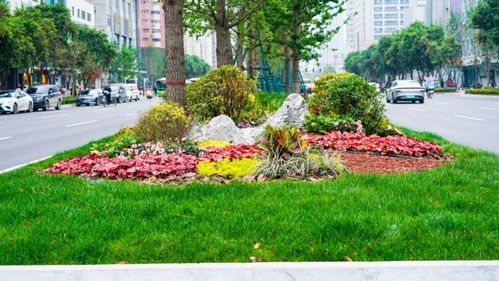 美颜模式再升级，绿满高新 树木种植经营新篇章